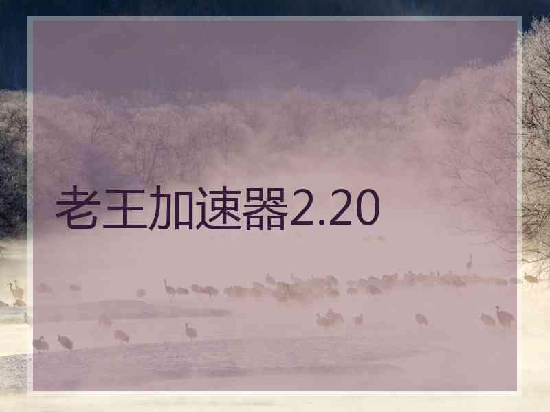 老王加速器2.20