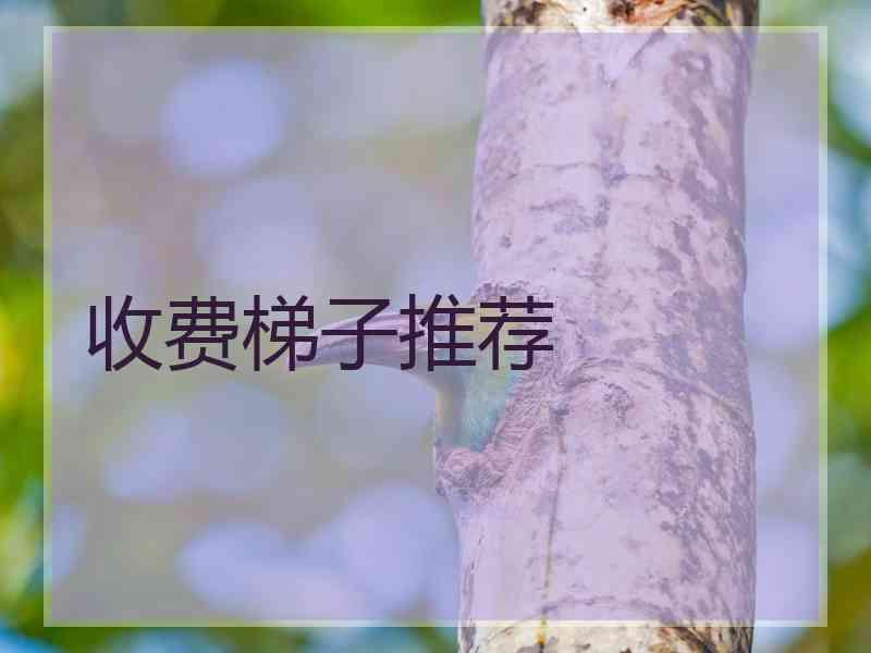 收费梯子推荐