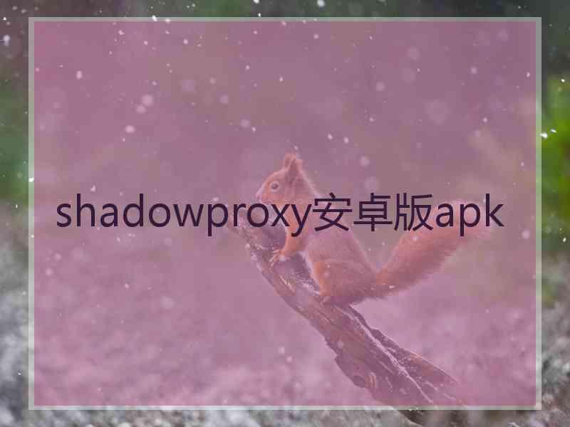 shadowproxy安卓版apk