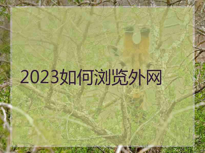 2023如何浏览外网