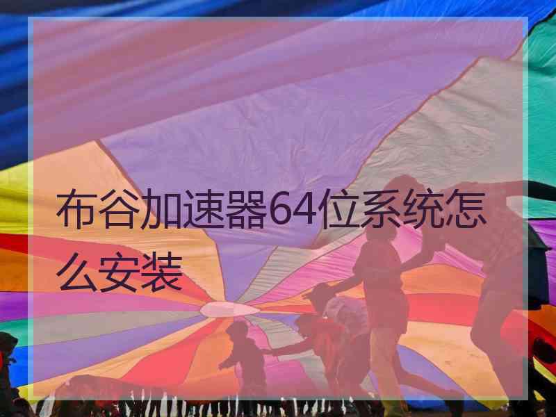 布谷加速器64位系统怎么安装