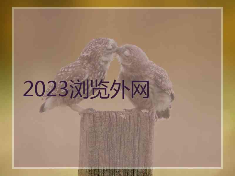 2023浏览外网