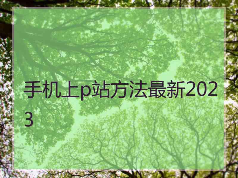 手机上p站方法最新2023