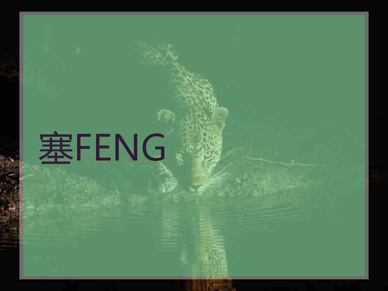 塞FENG